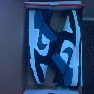 Nike Dunk low retro nas